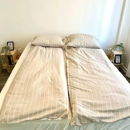 Experience Nordic Nest In Urban Apartament Oslo